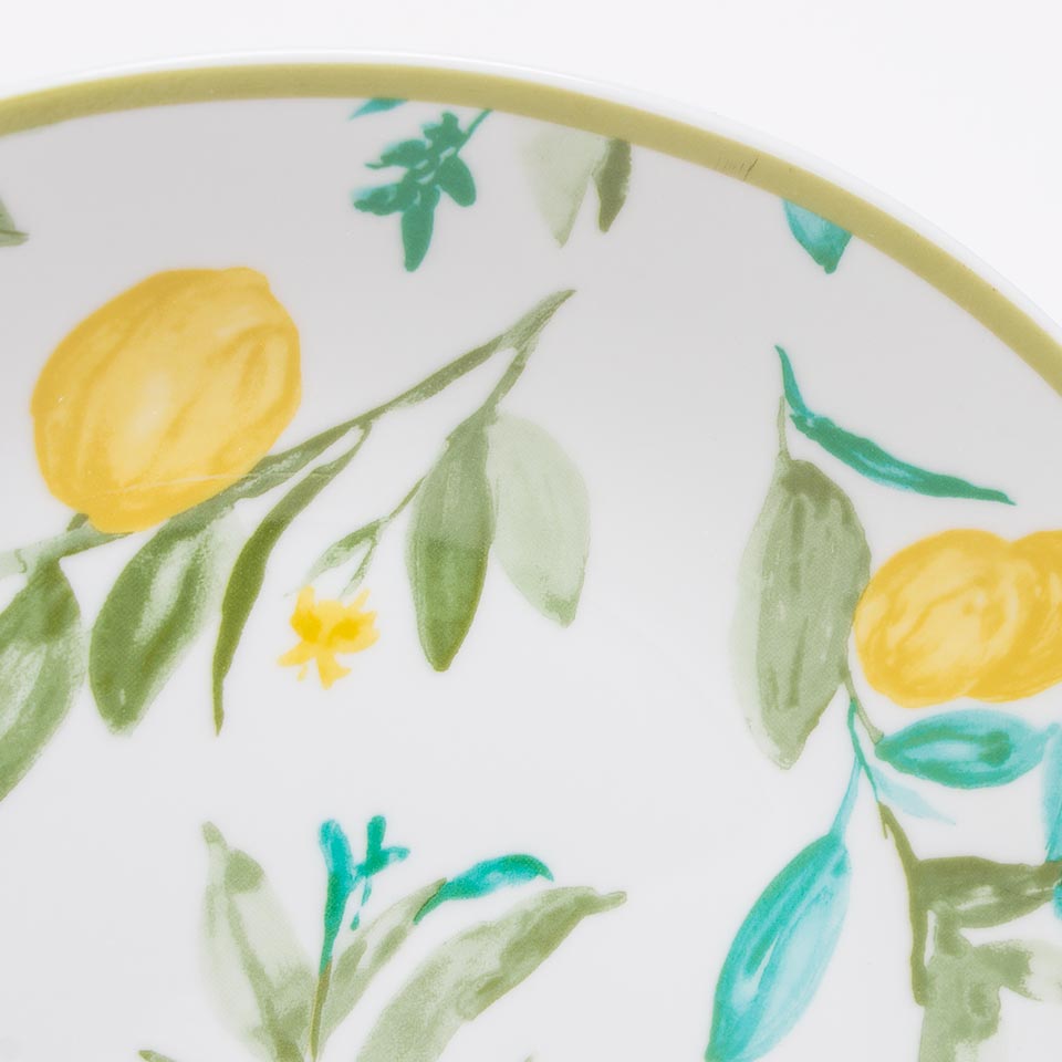 LEMON 18-piece dinnerware set