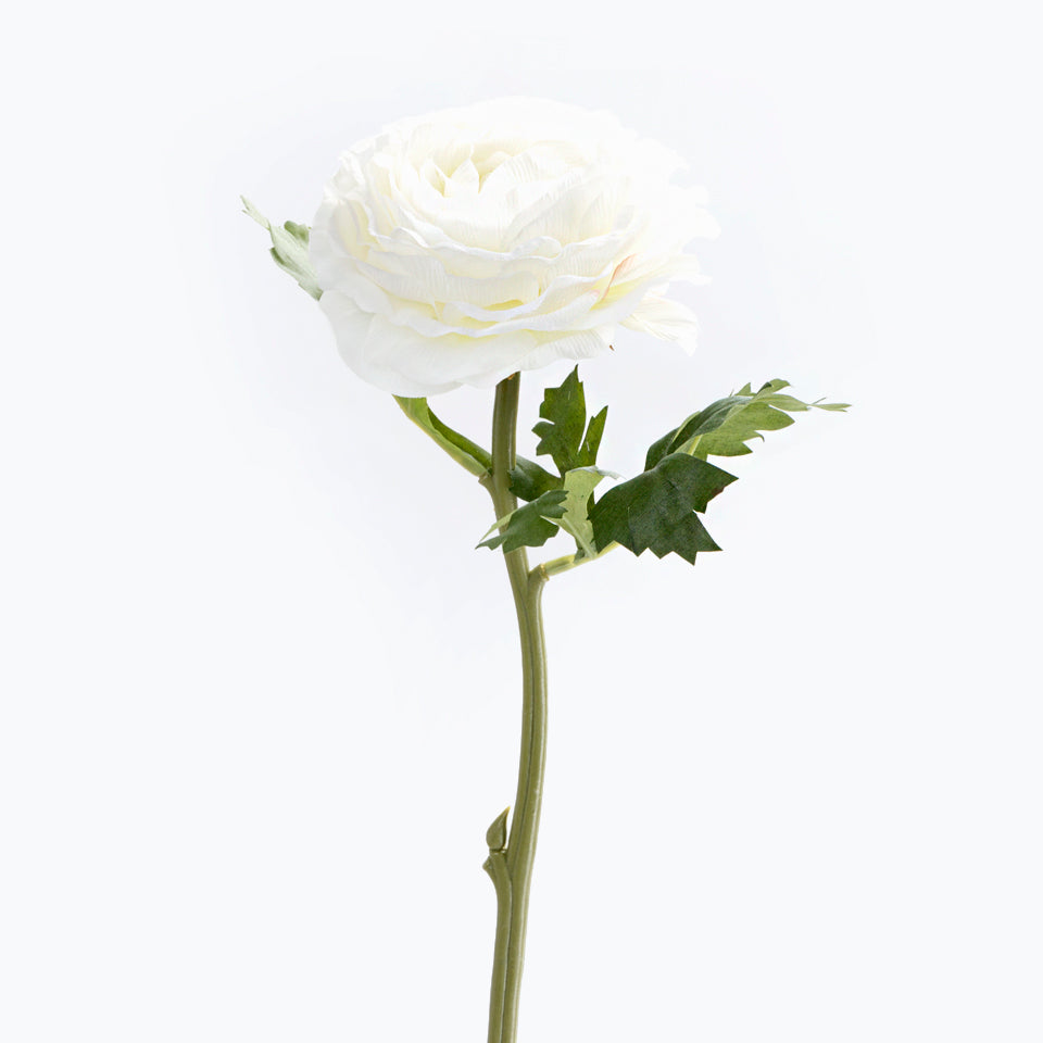 https://media.lojaviva.pt/images/P050173771_1.jpg