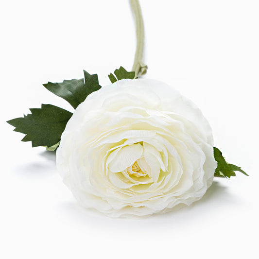 https://media.lojaviva.pt/images/P050173771_2.jpg
