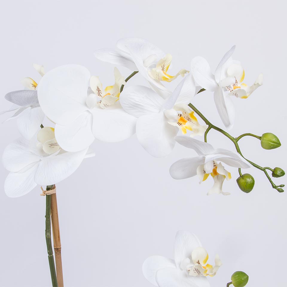 https://media.lojaviva.pt/images/P050196009_3.jpg
