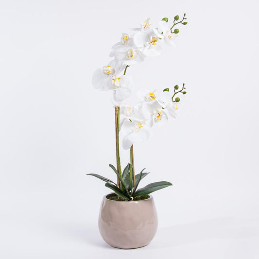 Artificial Flower ORCHID H.59cm