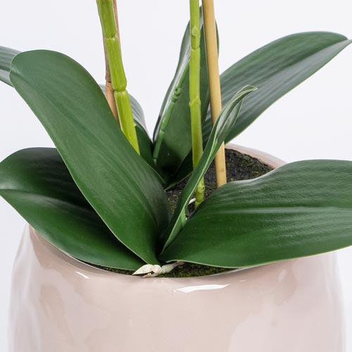 Artificial Flower ORCHID H.59cm