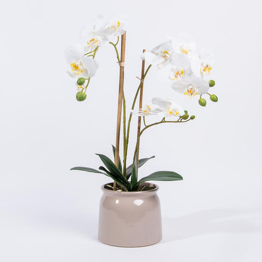 Artificial Flower ORCHID H.55cm