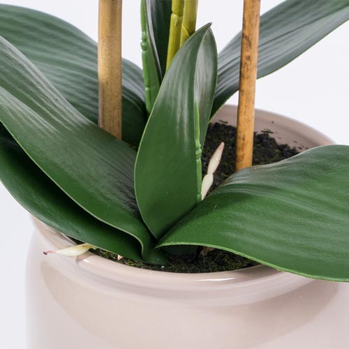 Artificial Flower ORCHID H.55cm