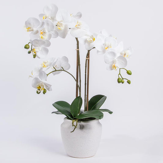 Artificial Flower ORCHID H.61cm