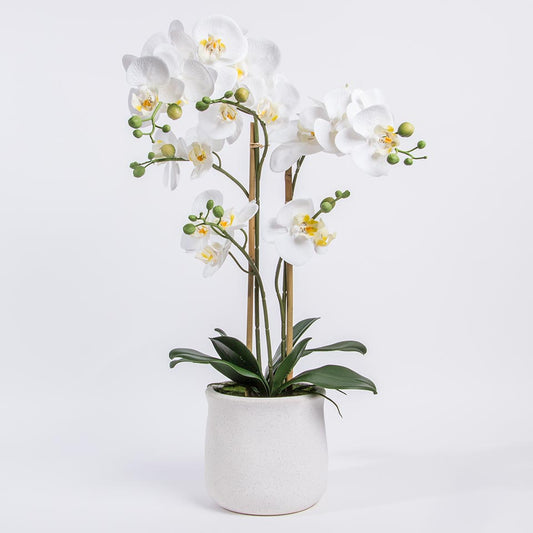 Artificial Flower ORCHID H.62cm