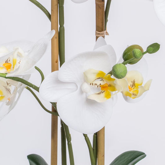 Artificial Flower ORCHID H.62cm