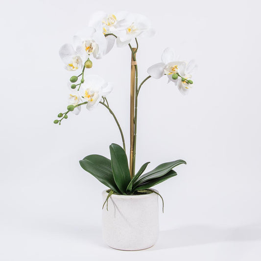 Artificial Flower ORCHID H.56cm