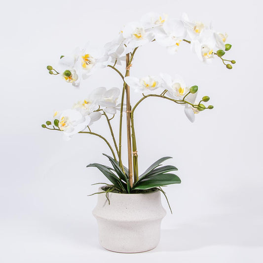 Artificial Flower ORCHID H.59cm