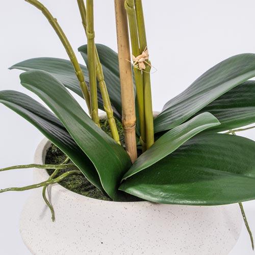 Artificial Flower ORCHID H.59cm