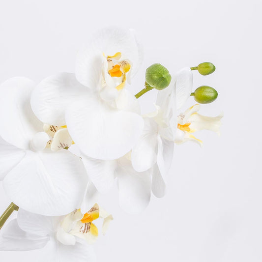 Artificial Flower ORCHID H.46cm