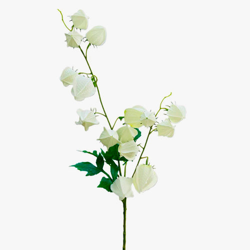 Ramo Artificial FISÁLIS Branco A.88cm