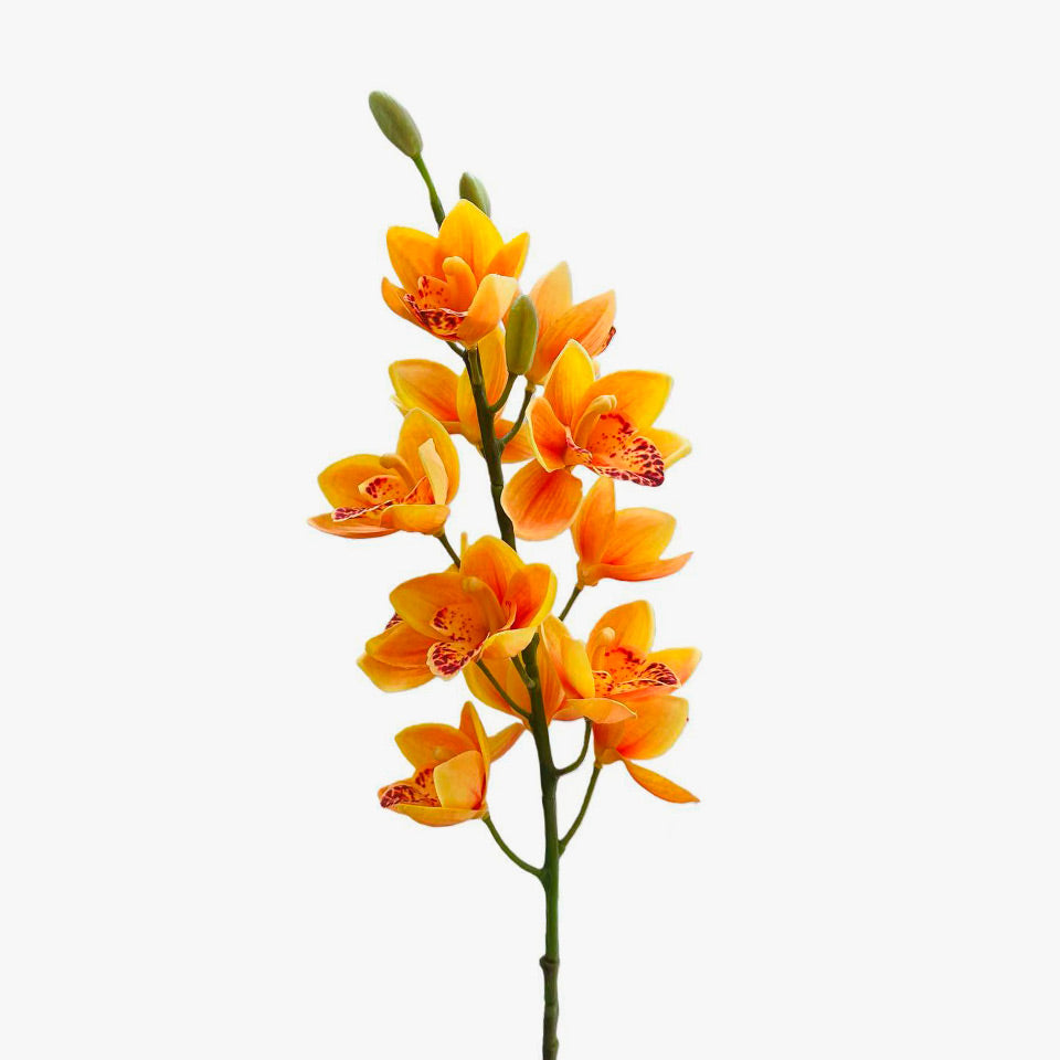 Flor Artificial ORQUÍDEA Laranja A.75cm