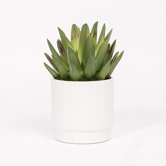 Artificial Plant DRACAENA H.19cm