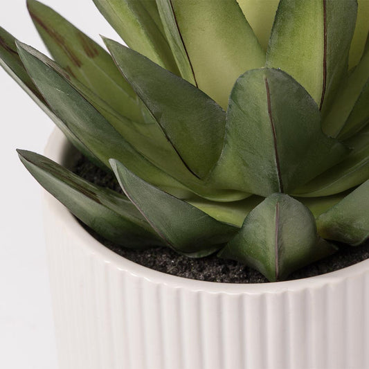 Artificial Plant DRACAENA H.19cm