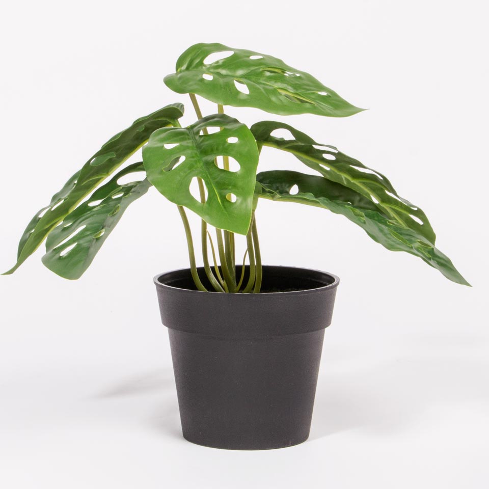 planta artificial monstera Planta Artificial MONSTERA A.20cm – Loja Viva Online