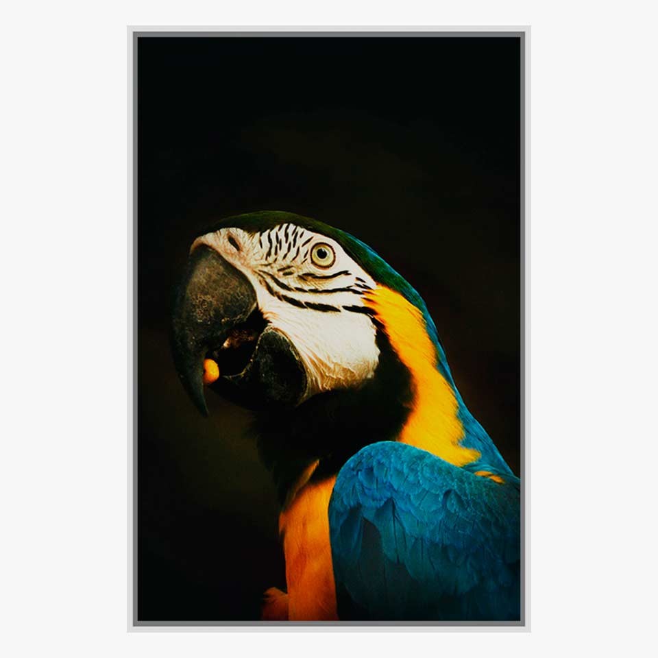 https://media.lojaviva.pt/images/P130788541_1.jpg