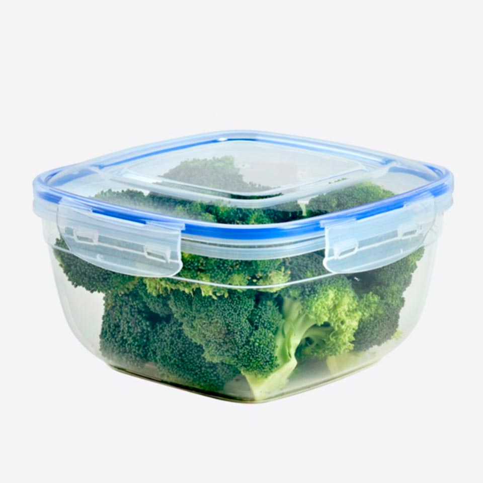 Caixa para Alimentos FRESKA 240cl