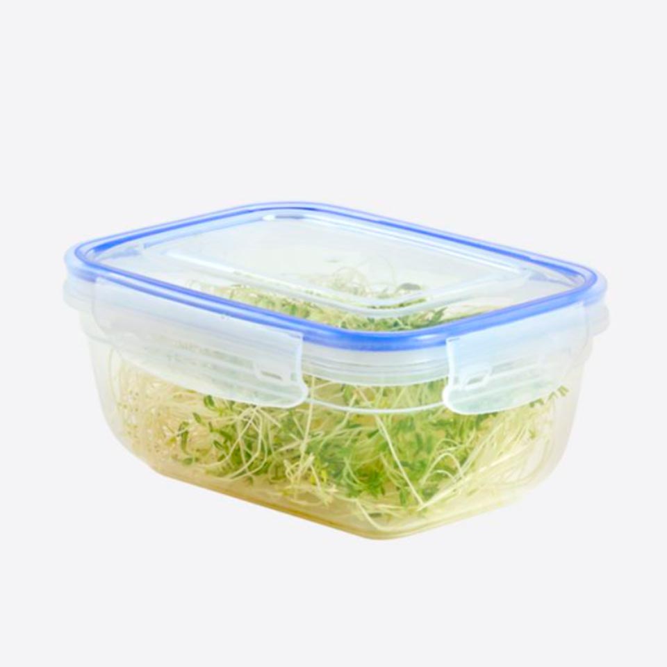Caixa para Alimentos FRESKA 80cl