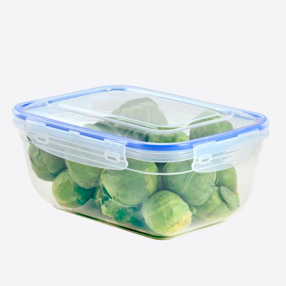 Caixa para Alimentos FRESKA 230cl
