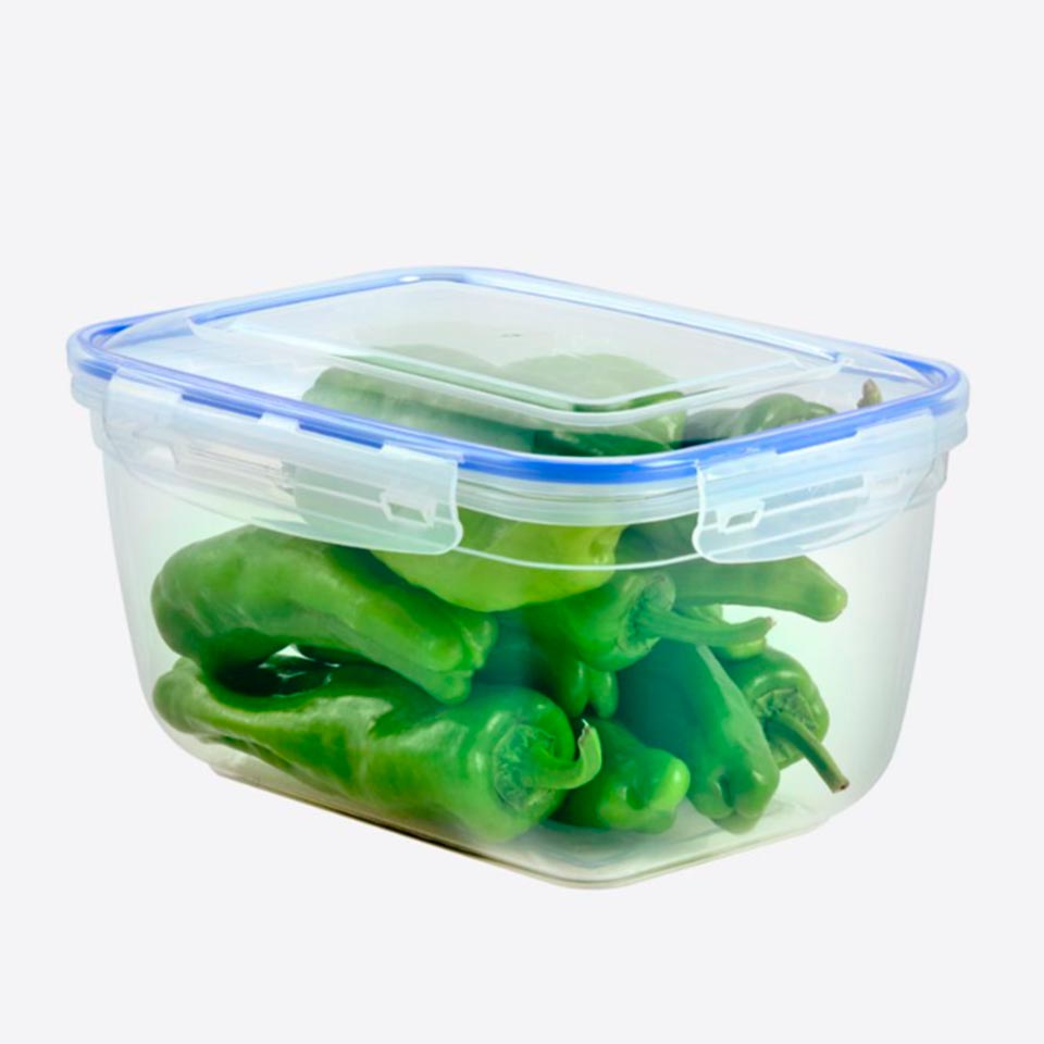 Caixa para Alimentos FRESKA 300cl