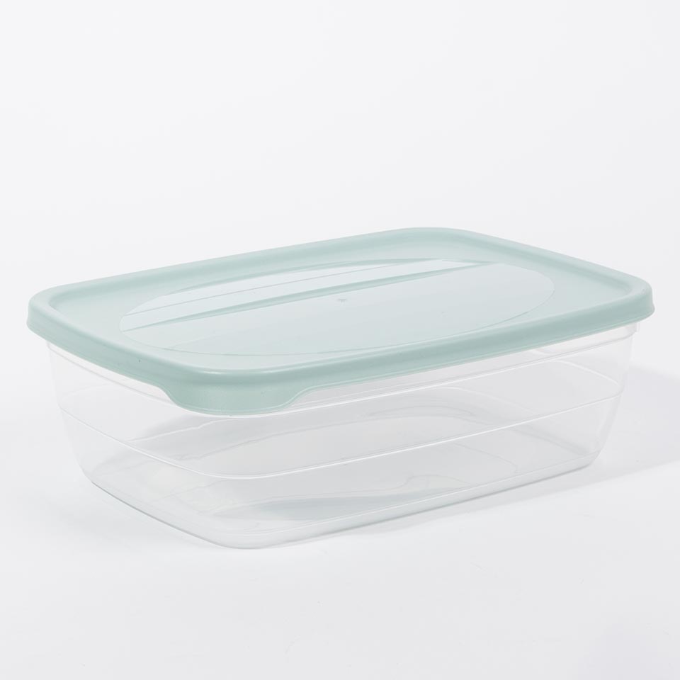 Caixa para Alimentos TREND Verde 2L