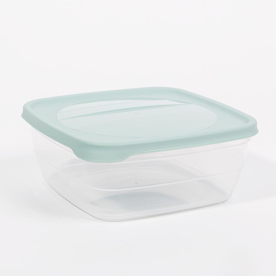 Caixa para Alimentos TREND Verde 2.5L