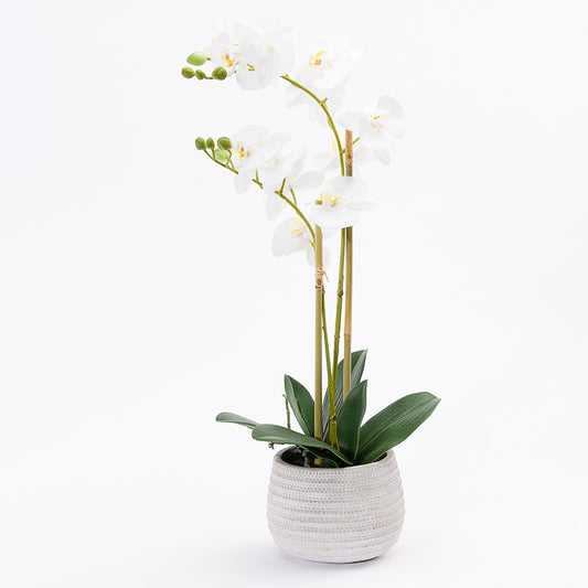Artificial Flower ORCHID H.56cm