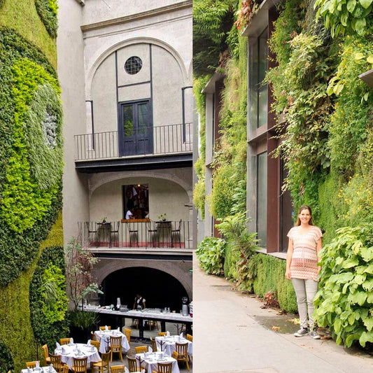 Por aqui adoramos jardins verticais. E por aí?