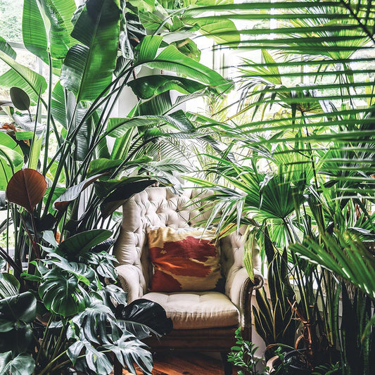 A caminhar para Urban Jungle