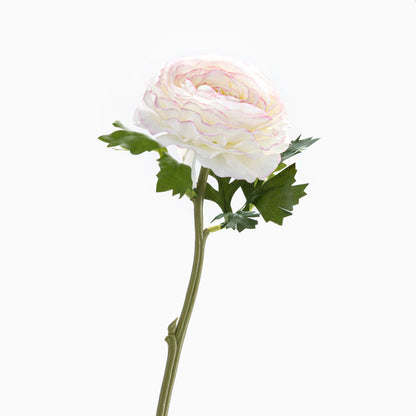 https://media.lojaviva.pt/images/P050173772_1.jpg