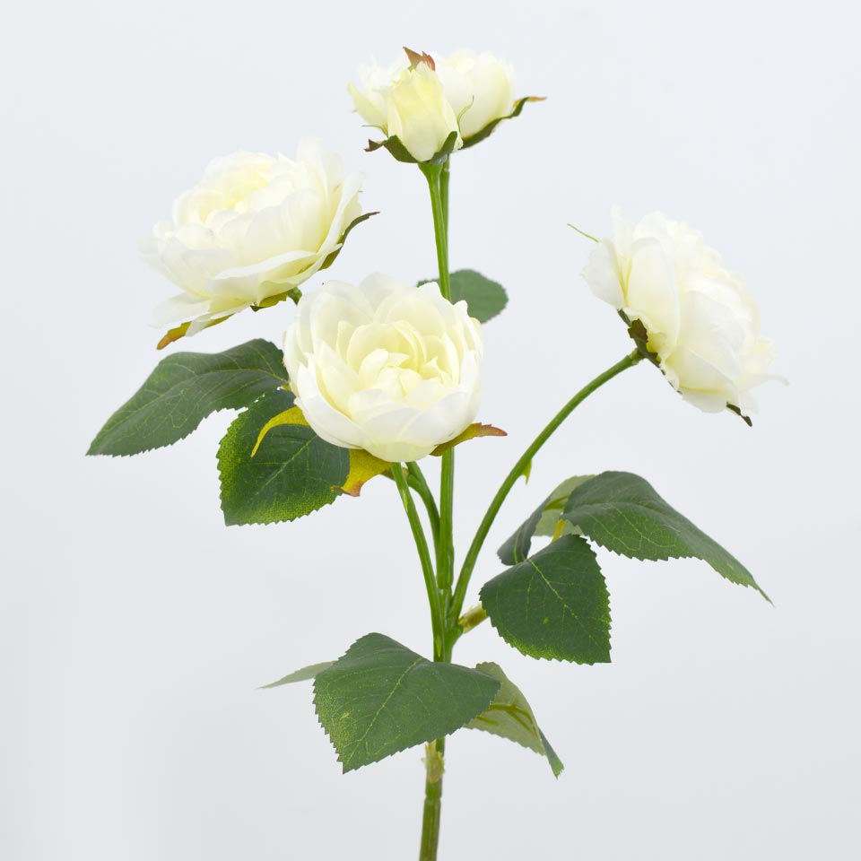 Artificial Flower PEONY White 60cm