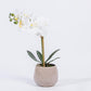 Artificial Flower ORCHID H.43cm