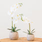 Artificial Flower ORCHID H.43cm