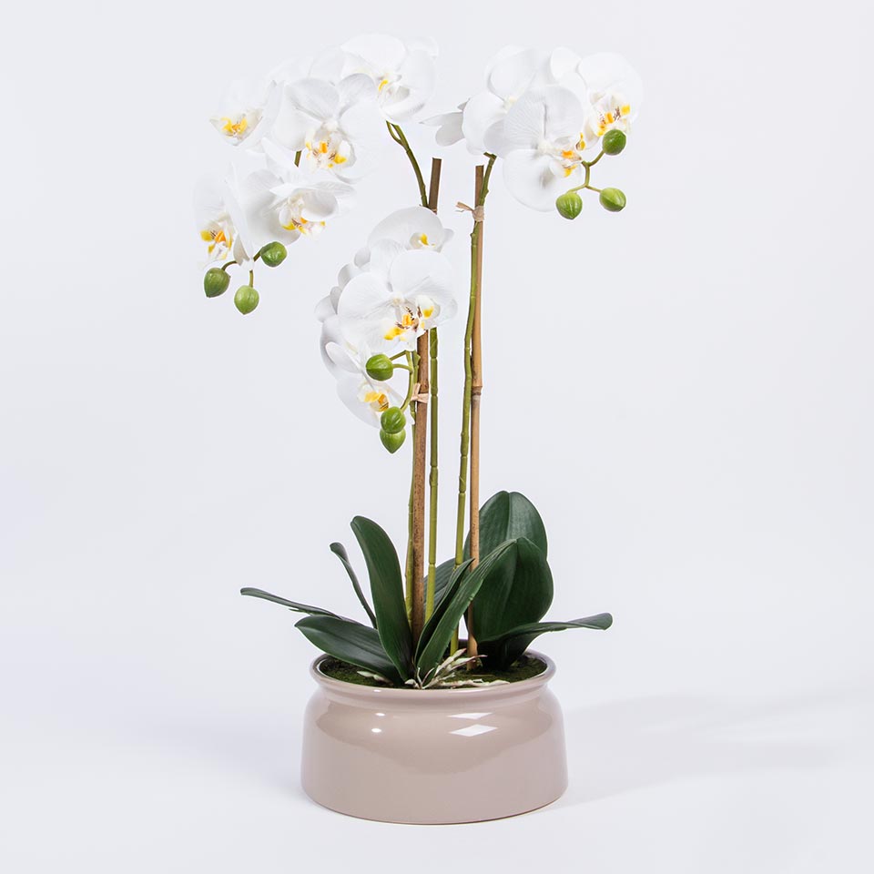 Artificial Flower ORCHID H.56cm