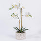 Artificial Flower ORCHID H.52cm