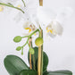 Artificial Flower ORCHID H.52cm