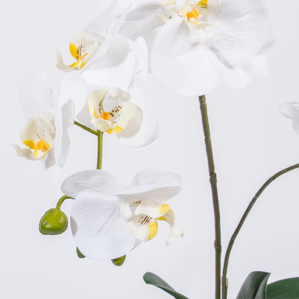 Artificial Flower ORCHID H.53cm