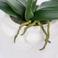 Artificial Flower ORCHID H.53cm