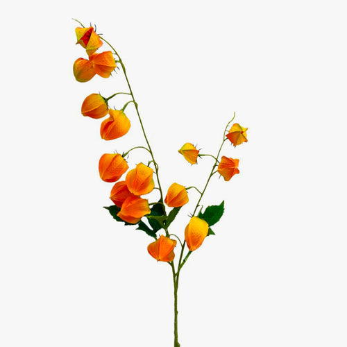 Artificial Flower GIPSOFILA H.80cm