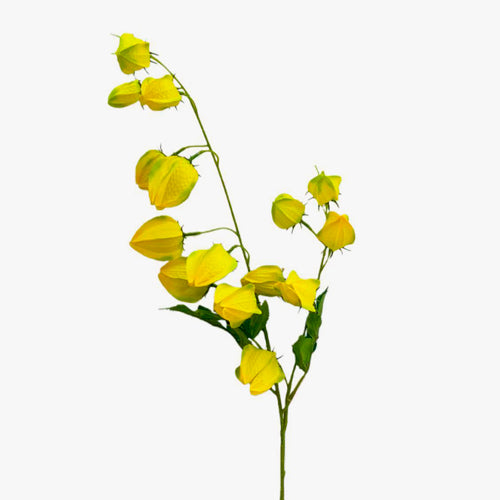 Ramo Artificial FISÁLIS Amarelo A.88cm
