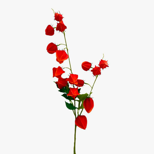 Artificial Flower GIPSOFILA H.80cm
