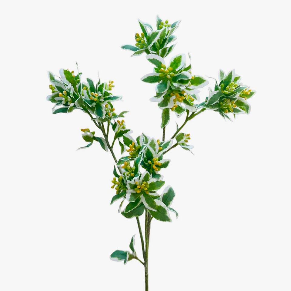 Ramo de Flor Artificial EUFÓRBIA MARGINATA A.70cm
