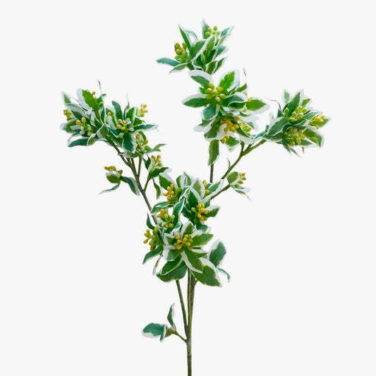 Ramo de Flor Artificial EUFÓRBIA MARGINATA A.70cm