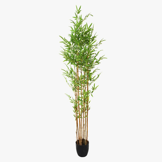 Artificial Plant BAMBOO H.195cm