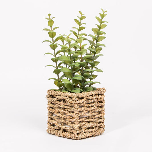 Planta Artificial EUCALIPTO A.28cm