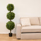 Artificial Plant BOXWOOD H.150cm