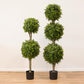 Artificial Plant BOXWOOD H.150cm