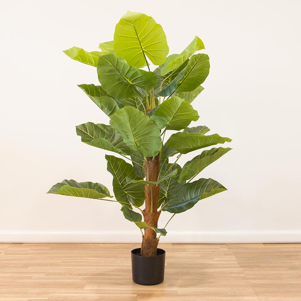 Planta Artificial ALOCASIA A.115cm