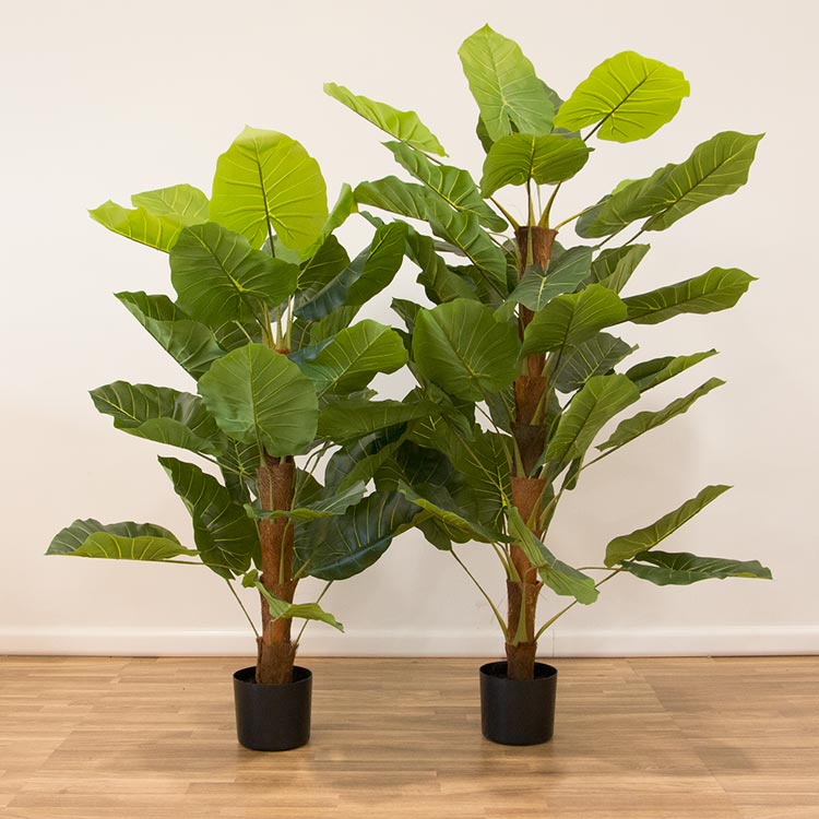 Planta Artificial ALOCASIA A.115cm